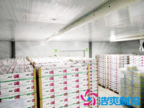 建造一个火龙果榴莲网站官网要花多少钱？-榴莲视频在线观看下载制冷