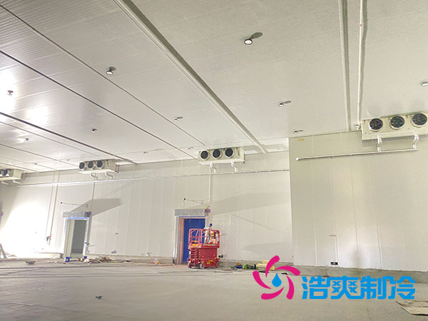 建一个100平方的乳制品冷冻库要多少钱？