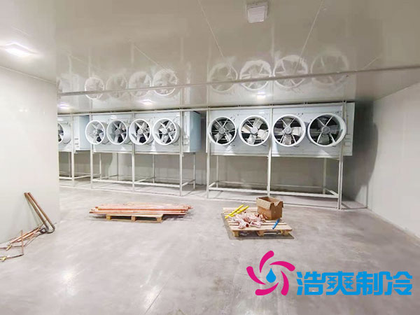 100平方米蔬菜保鲜榴莲网站官网造价多少钱？-榴莲视频在线观看下载制冷