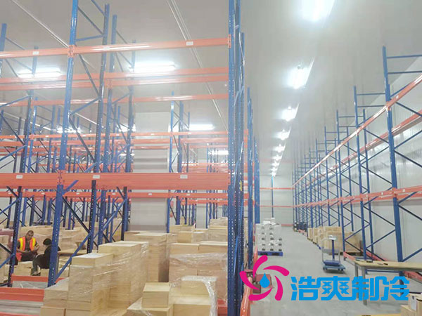 如何选择专业的生鲜冷冻物流榴莲网站官网公司？-榴莲视频在线观看下载制冷