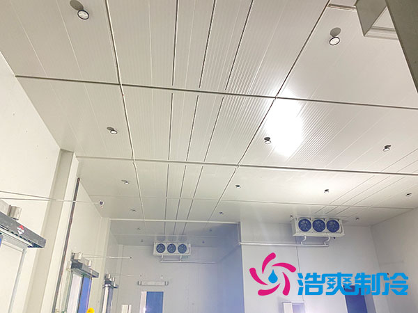 大型榴莲网站官网建设多少钱一平方？