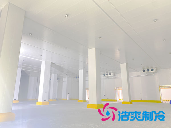 1000立方榴莲网站官网的建设费用大概需要多少钱？-榴莲视频在线观看下载制冷