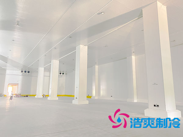 1000立方榴莲网站官网的建设费用大概需要多少钱？-榴莲视频在线观看下载制冷