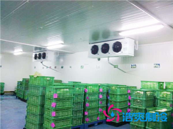 茶叶榴莲网站官网设置多少温度合适？-榴莲视频在线观看下载制冷