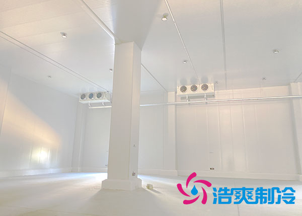 宁波农产品保鲜库建造设备价格多少钱？-榴莲视频在线观看下载制冷