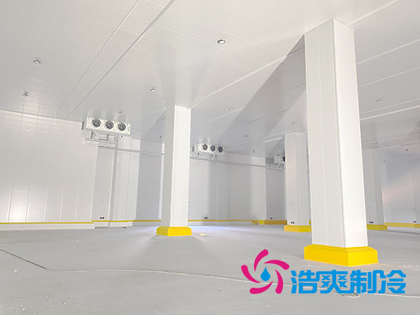 上海低温冷冻库建造厂家-榴莲视频在线观看下载制冷