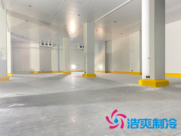 浙江肉类速冻库建造大概多少钱？-榴莲视频在线观看下载制冷