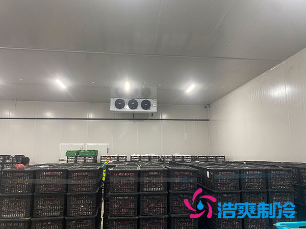 嘉定鸡蛋榴莲网站官网安装建造多少钱？-榴莲视频在线观看下载制冷