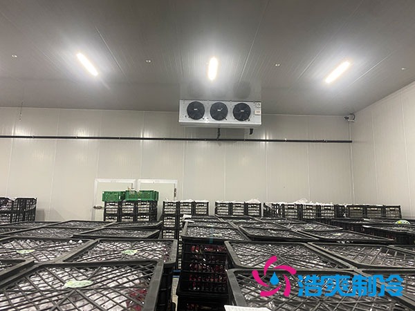 嘉定鸡蛋榴莲网站官网安装建造多少钱？-榴莲视频在线观看下载制冷