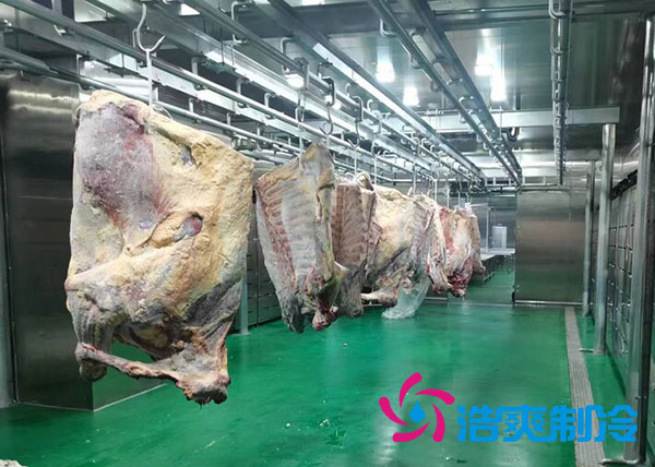 咸阳屠宰场陕西榴莲网站官网建造价格多少钱？-榴莲视频在线观看下载制冷