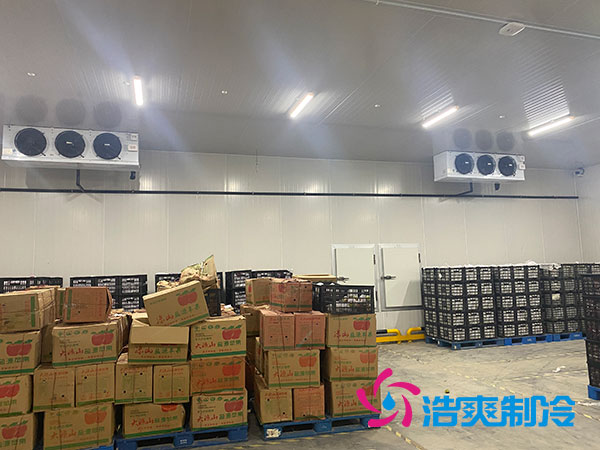 双温榴莲网站官网