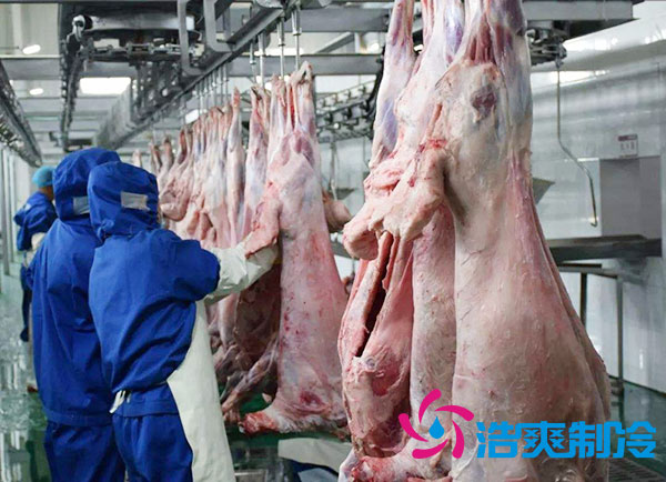 排酸榴莲网站官网安装价钱多少钱？-榴莲视频在线观看下载制冷