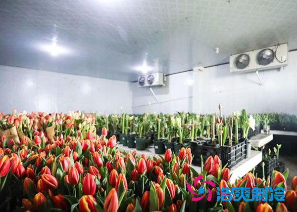花卉榴莲网站官网安装预算造价多少钱？-榴莲视频在线观看下载制冷