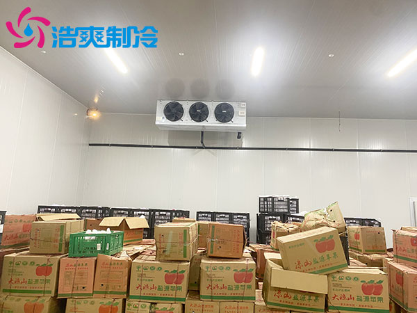 广东1000平方米水果保鲜榴莲网站官网建造价格及配置清单