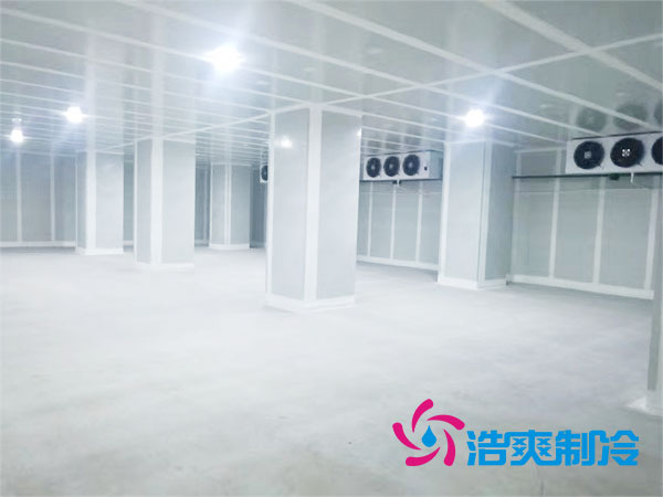 宁夏气调榴莲网站官网建造什么价格？-榴莲视频在线观看下载制冷
