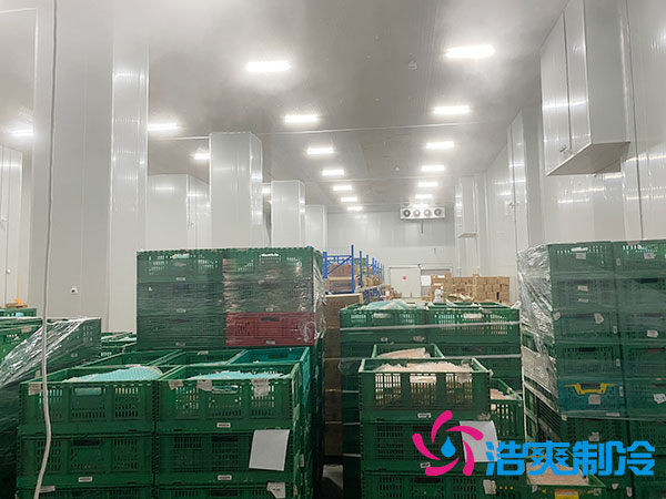 济宁农产品加工储存榴莲网站官网多少钱？-榴莲视频在线观看下载制冷