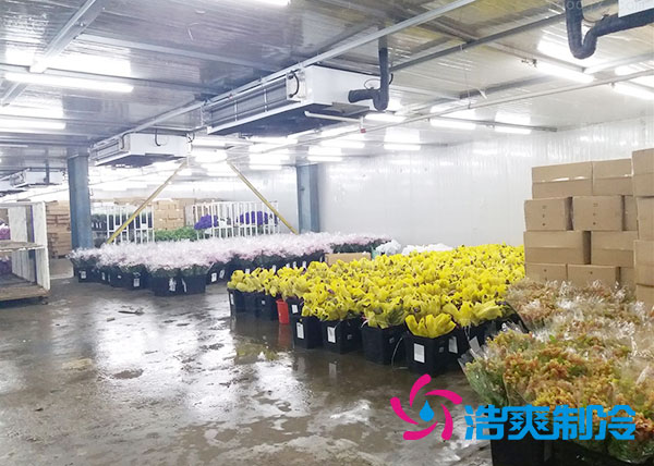 做个鲜花榴莲网站官网要多少钱？-榴莲视频在线观看下载制冷