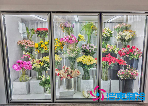 花店榴莲网站官网适合风冷还是直冷？-榴莲视频在线观看下载制冷