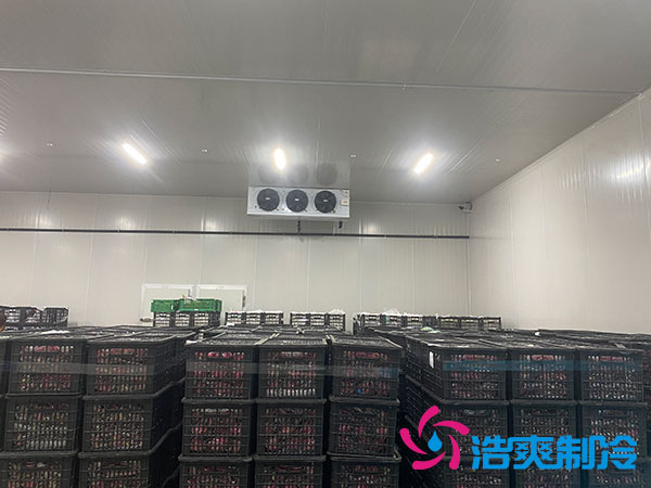 水果榴莲网站官网造价多少钱