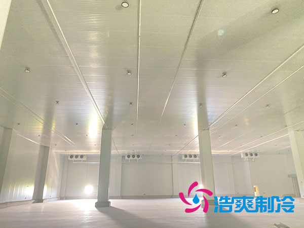 昆明食品榴莲网站官网厂家