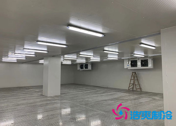 山东榴莲网站官网建设价格预算多少钱？-榴莲视频在线观看下载制冷