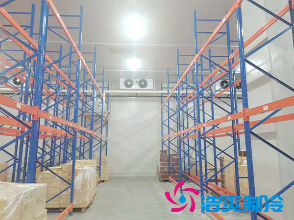 岳阳物流榴莲网站官网建设多少钱一平方？-榴莲视频在线观看下载制冷