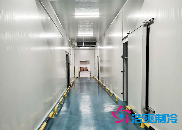 郴州速冻食品榴莲网站官网造价多少钱一平方？-榴莲视频在线观看下载制冷