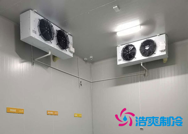 衡阳大型水果榴莲网站官网造价多少钱一平方？-榴莲视频在线观看下载制冷