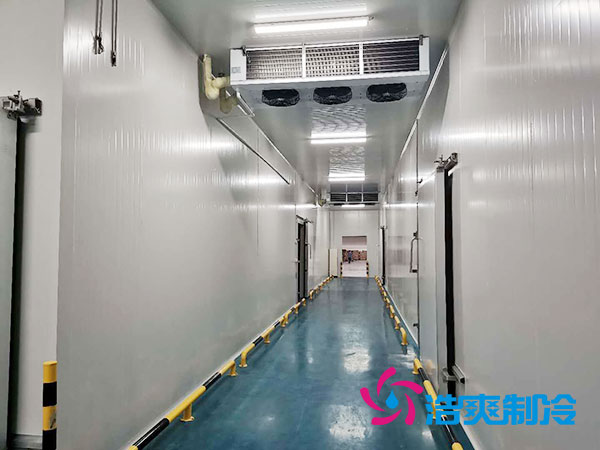 山东省农村建设1000平米的冷藏库总费用解析-榴莲视频在线观看下载制冷