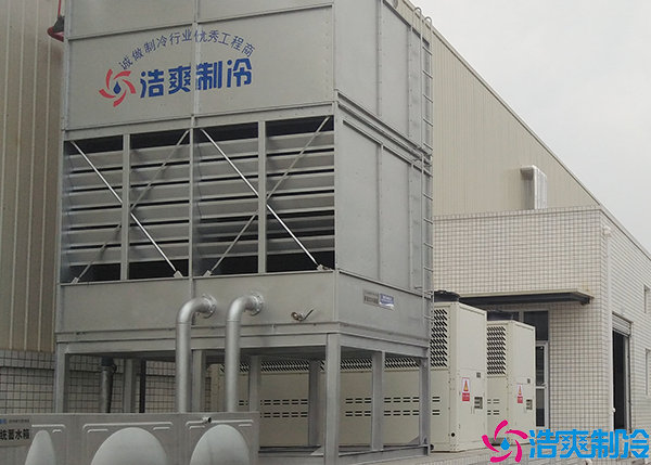 低温速冻榴莲网站官网