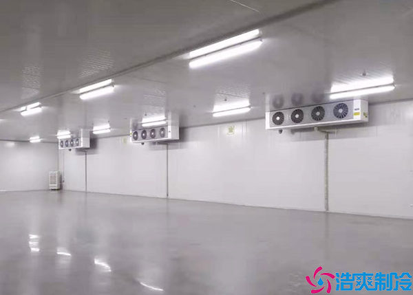 榴莲网站官网喷涂