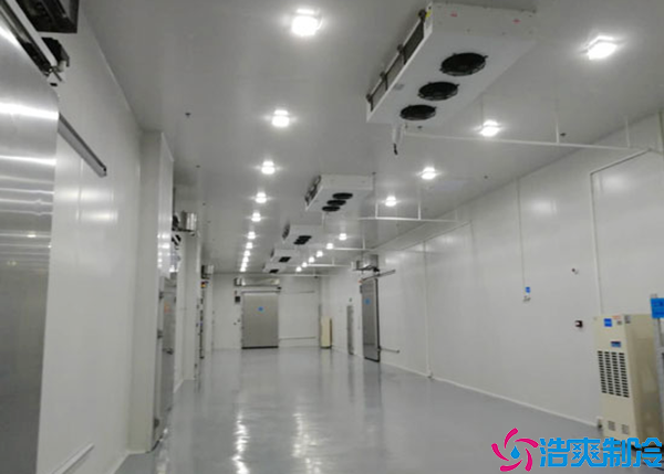 榴莲网站官网建设