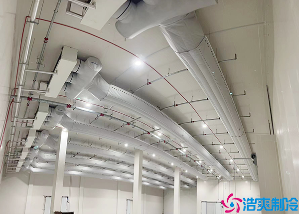 排酸速冻榴莲网站官网