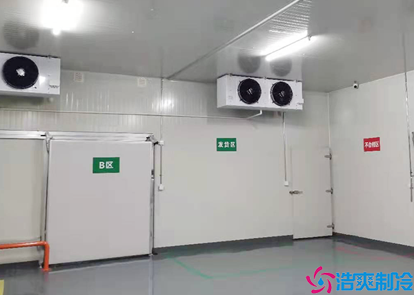 速冻榴莲网站官网