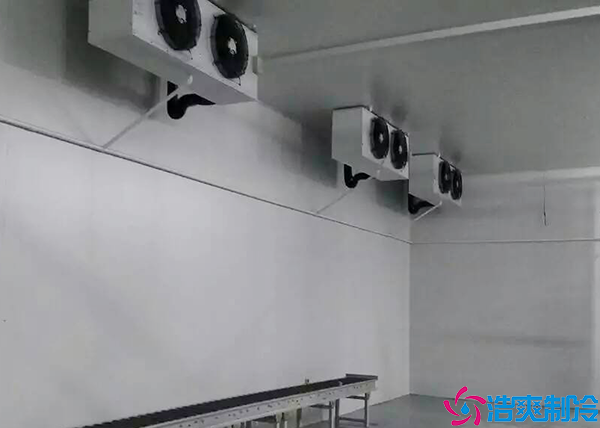 榴莲网站官网