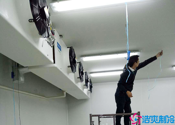 水果保鲜榴莲网站官网