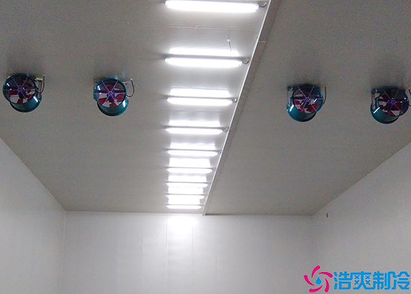 榴莲网站官网建设