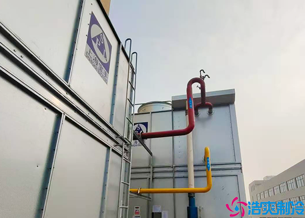 冷藏榴莲网站官网