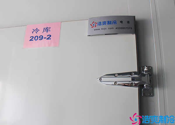 榴莲网站官网安装