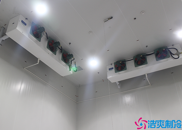 排酸速冻榴莲网站官网