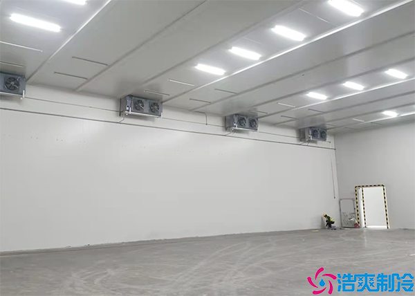 速冻榴莲网站官网