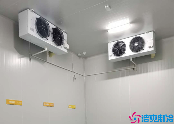 葡萄气调保鲜榴莲网站官网