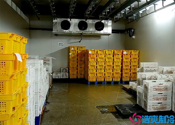 牛肉榴莲网站官网设备