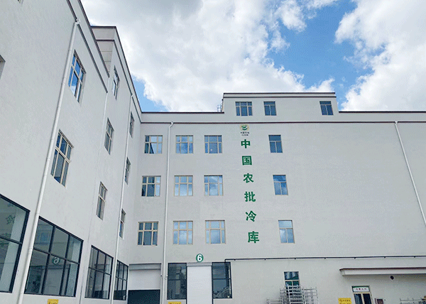 蔬菜保鲜榴莲网站官网造价.png