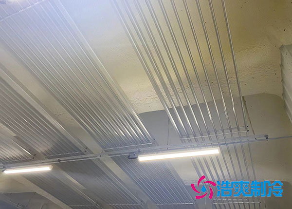 蒜苗榴莲网站官网储存温度.jpg