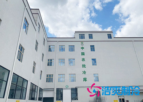 松江农产品30平方小型榴莲网站官网造价.jpg