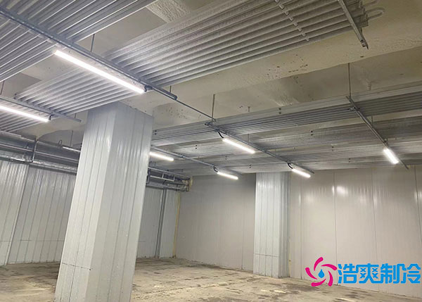 如何选择适合湖北气候条件的榴莲网站官网设备.jpg
