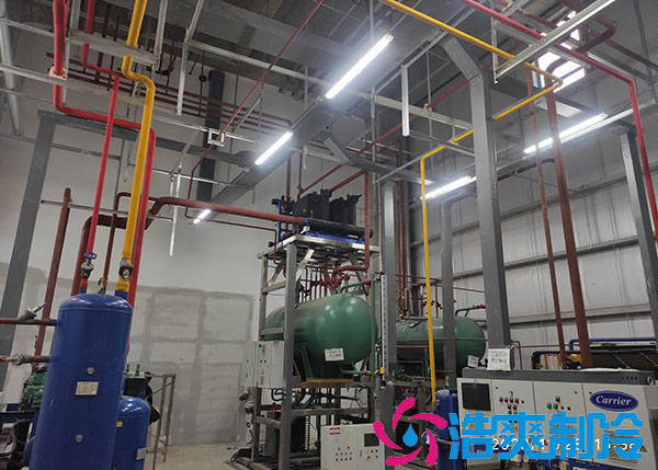 宁波大型榴莲网站官网建造供应商.jpg