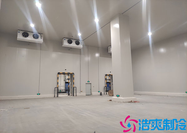宁波大型榴莲网站官网建造供应商.jpg