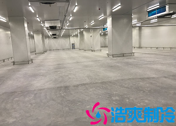 小型物流榴莲网站官网厂家.jpg